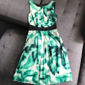 The Limited Green and Black Sleeveless Dress